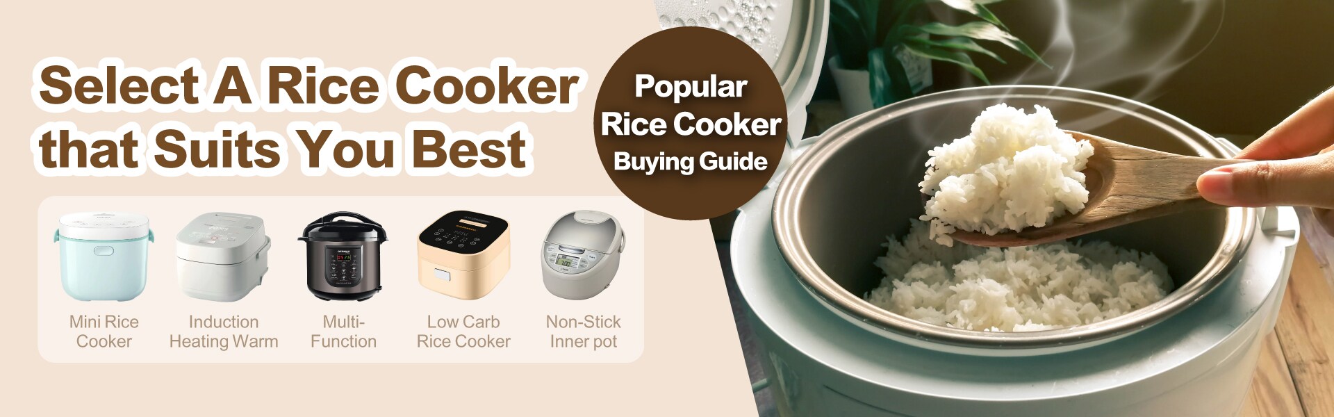 2023 Popular Rice Cooker Shopping Guide & FORTRESS